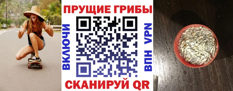 Галлюциногенные грибы Psilocybine cubensis kraken как зайти Лебедянь